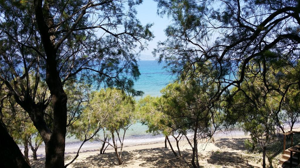 Rachel Hotel Αγία Μαρίνα Εξωτερικό φωτογραφία