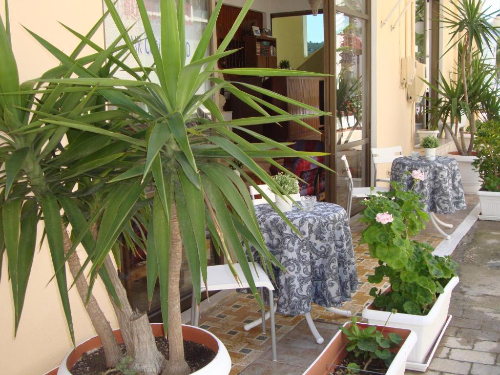 Rachel Hotel Αγία Μαρίνα Εξωτερικό φωτογραφία