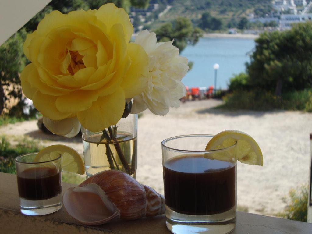 Rachel Hotel Αγία Μαρίνα Εξωτερικό φωτογραφία